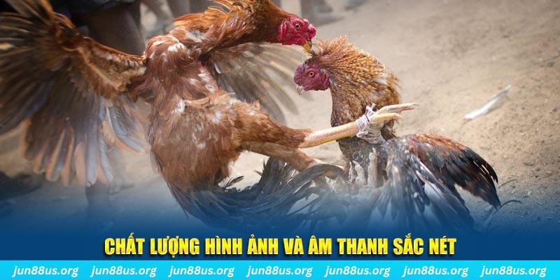 m88cvf nổ hũ may mắn
