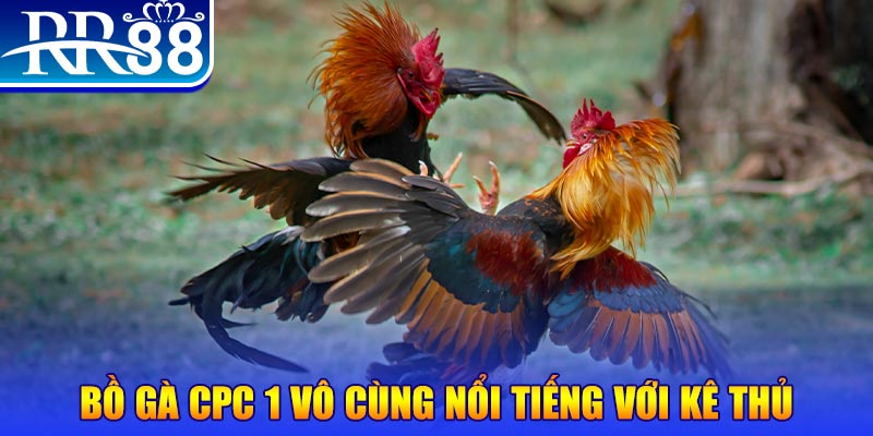 m88cvf xổ số miền bắc thứ tư