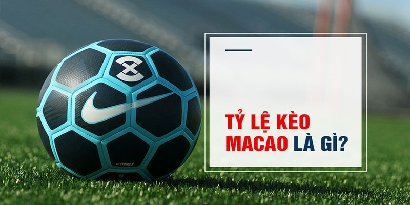 m88cvf PP Điện Tử
